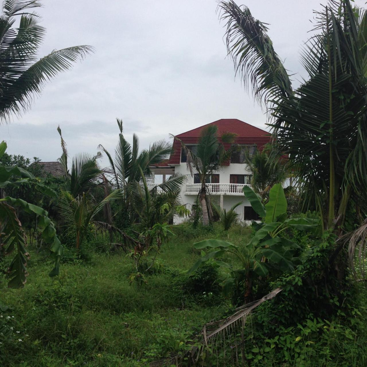 Crim Wind Freedom Hotel Jambiani  Luaran gambar